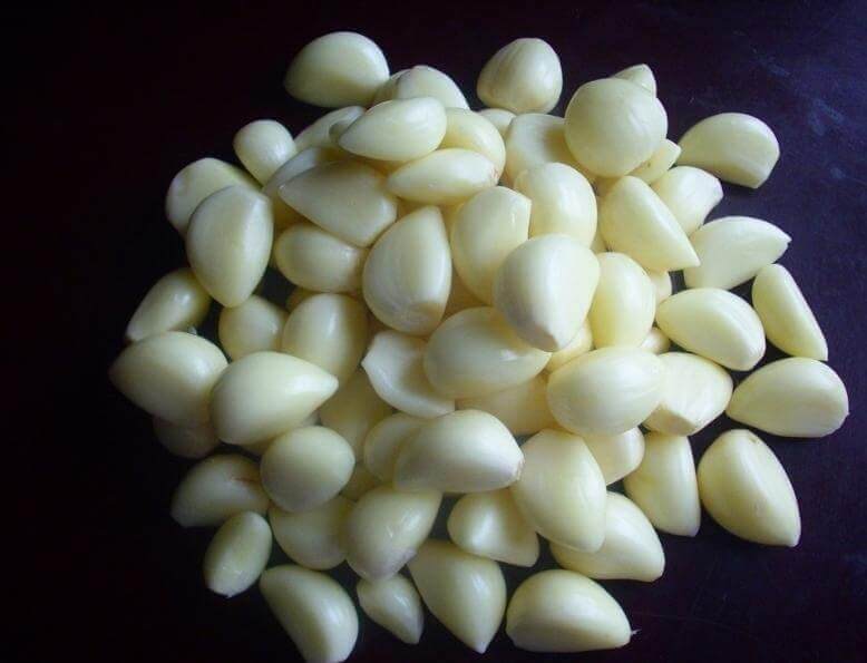 Garlic Drying Process